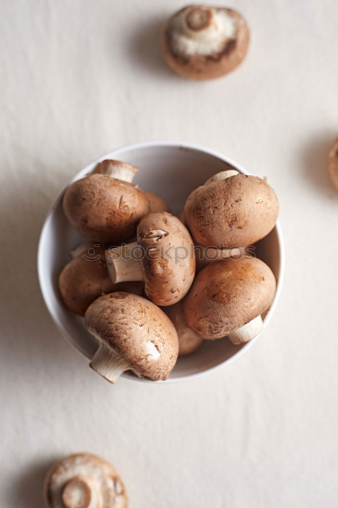 Similar – Image, Stock Photo Fresh mushrooms champignons