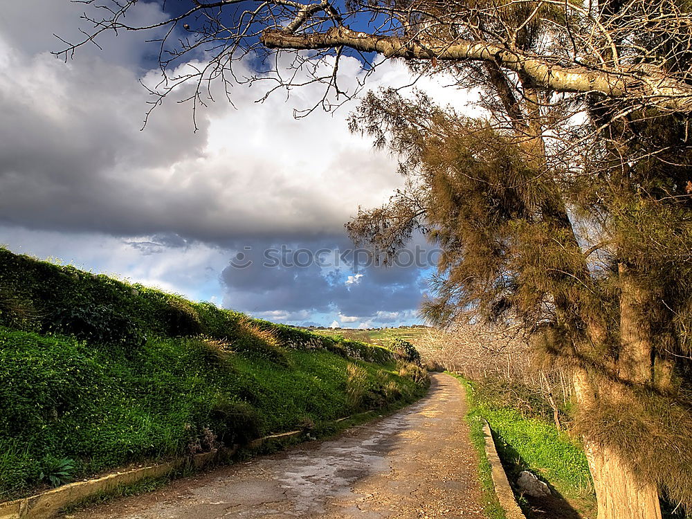 Similar – Obelisk_Mallorca Nature