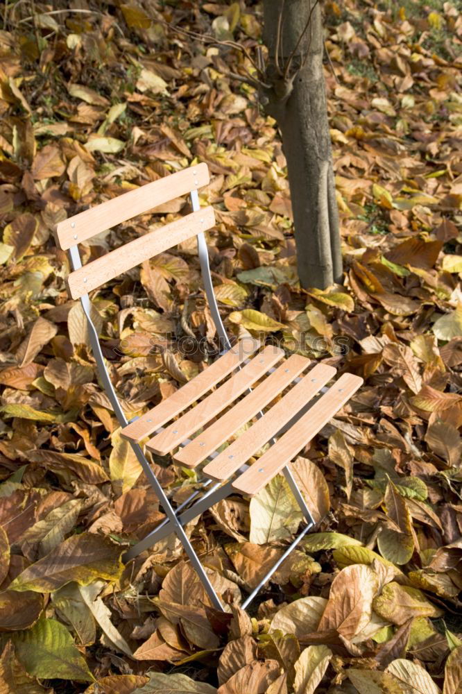 Similar – leere Stühle im Herbstgarten