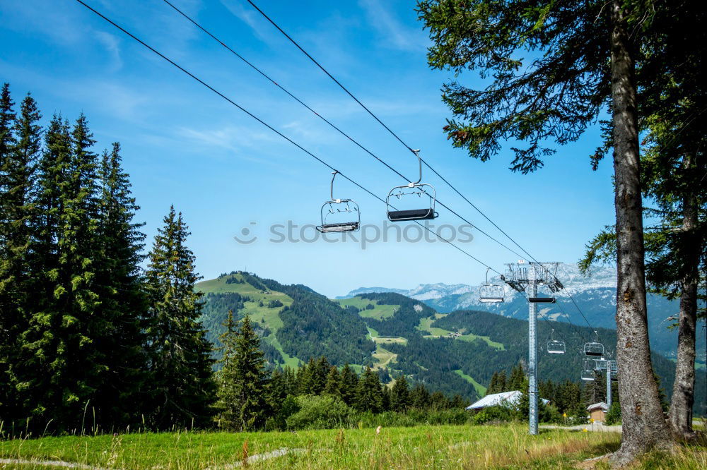 Similar – Image, Stock Photo Railway Summer Forest