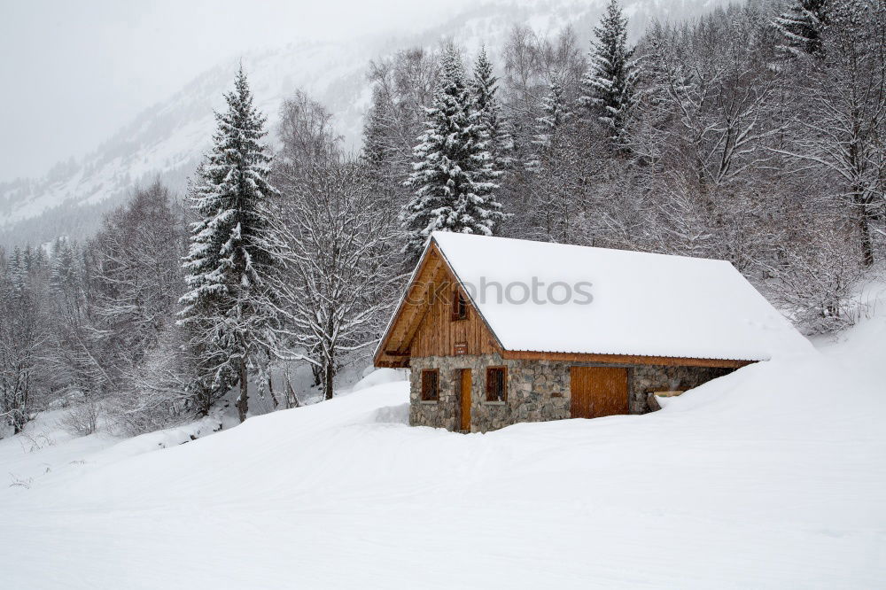 Similar – Cottage in the snow Nature