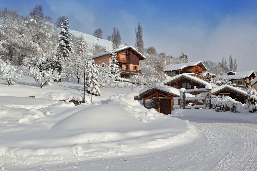 Similar – Image, Stock Photo altitude Forest Winter