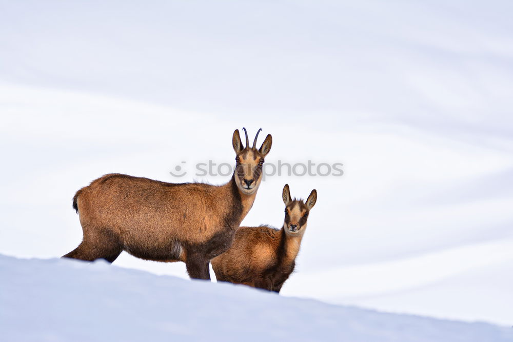 Similar – Image, Stock Photo time of need Environment