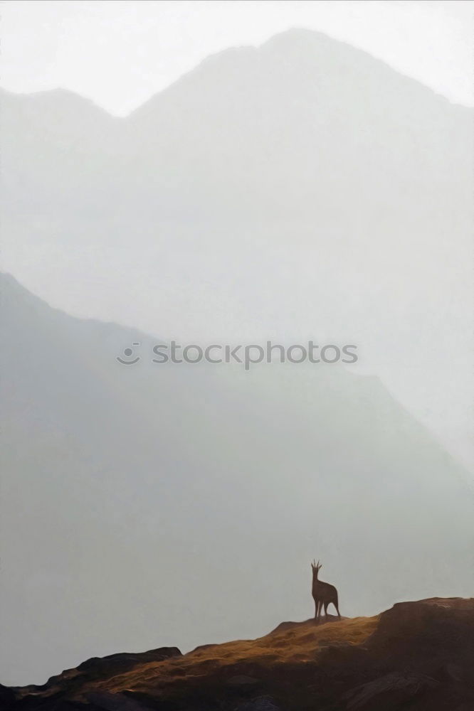 Similar – Image, Stock Photo Poten Hindu Temple in Sea of Sands, Bromo Tengger