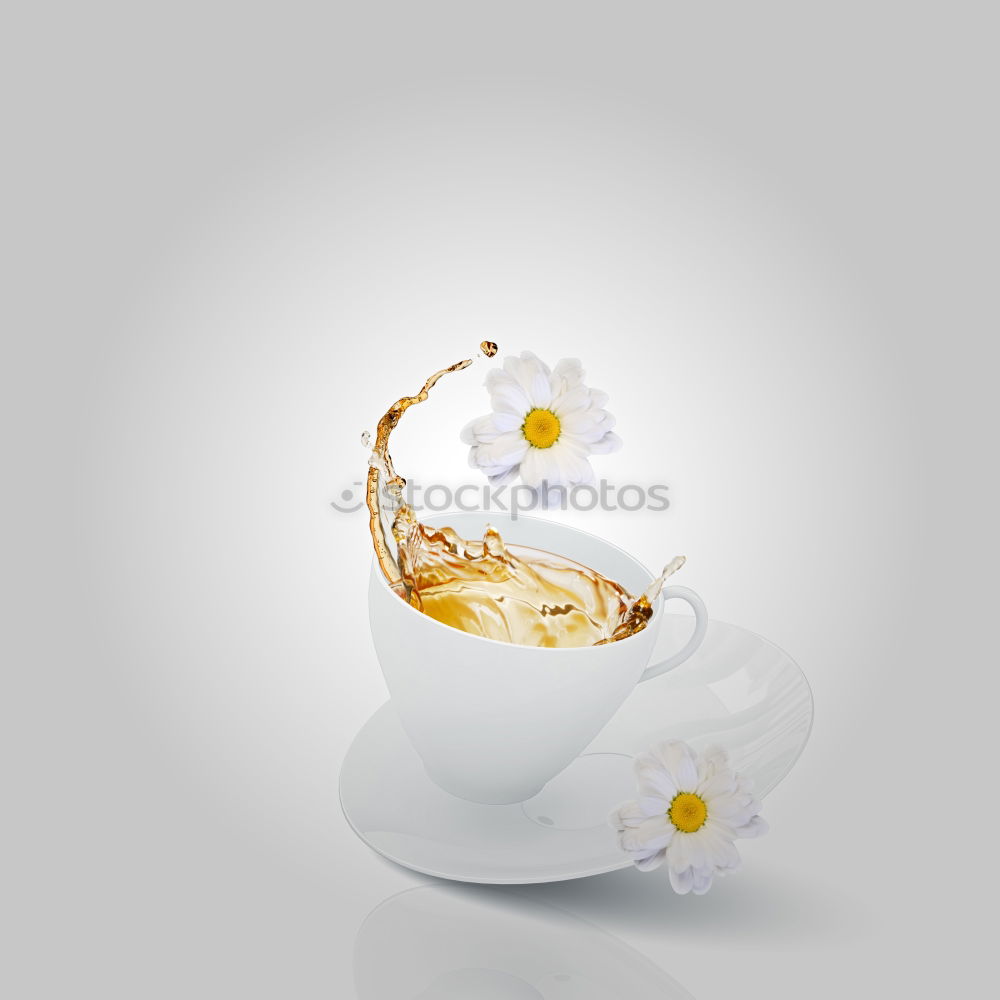 Similar – Image, Stock Photo white primrose in cup with water