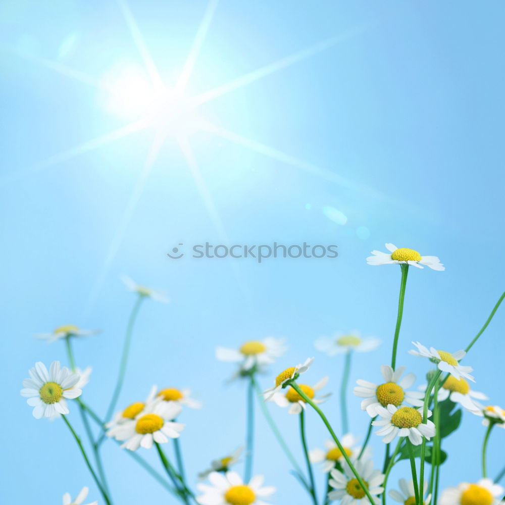 Similar – Image, Stock Photo Solar Energy Part 3