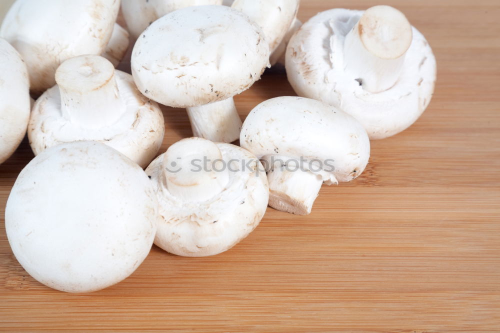 Similar – Image, Stock Photo Champignon Mushrooms on an old wooden table