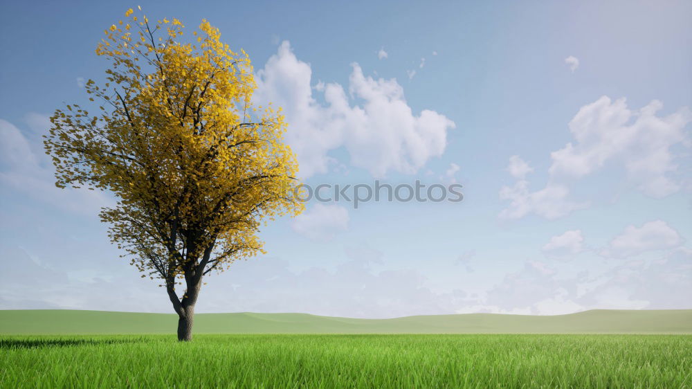 Similar – Foto Bild Blossom tree on a hill in Switzerland