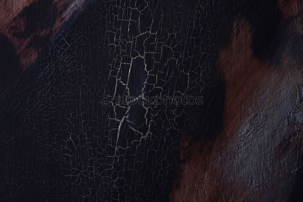 Similar – Foto Bild Geheimnisvoll elegant