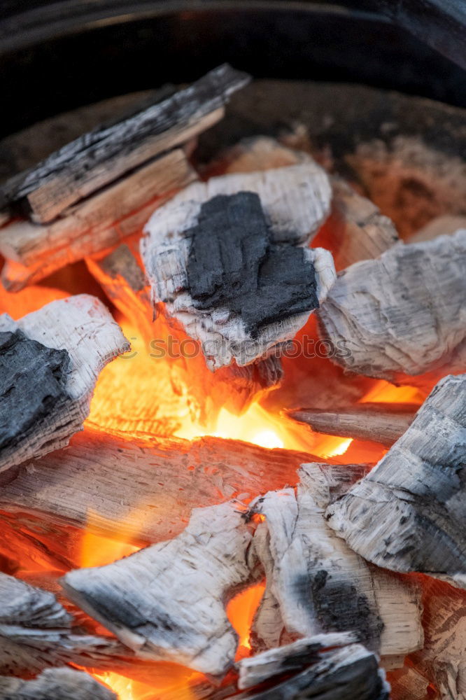 Image, Stock Photo grilling again