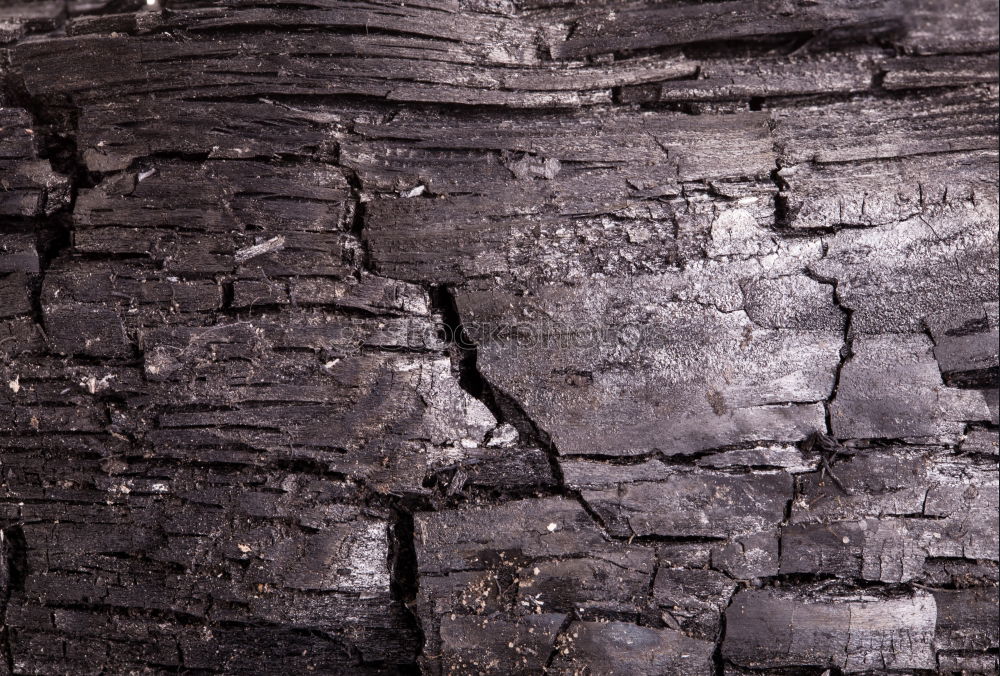 Holz vor der Hütte braun