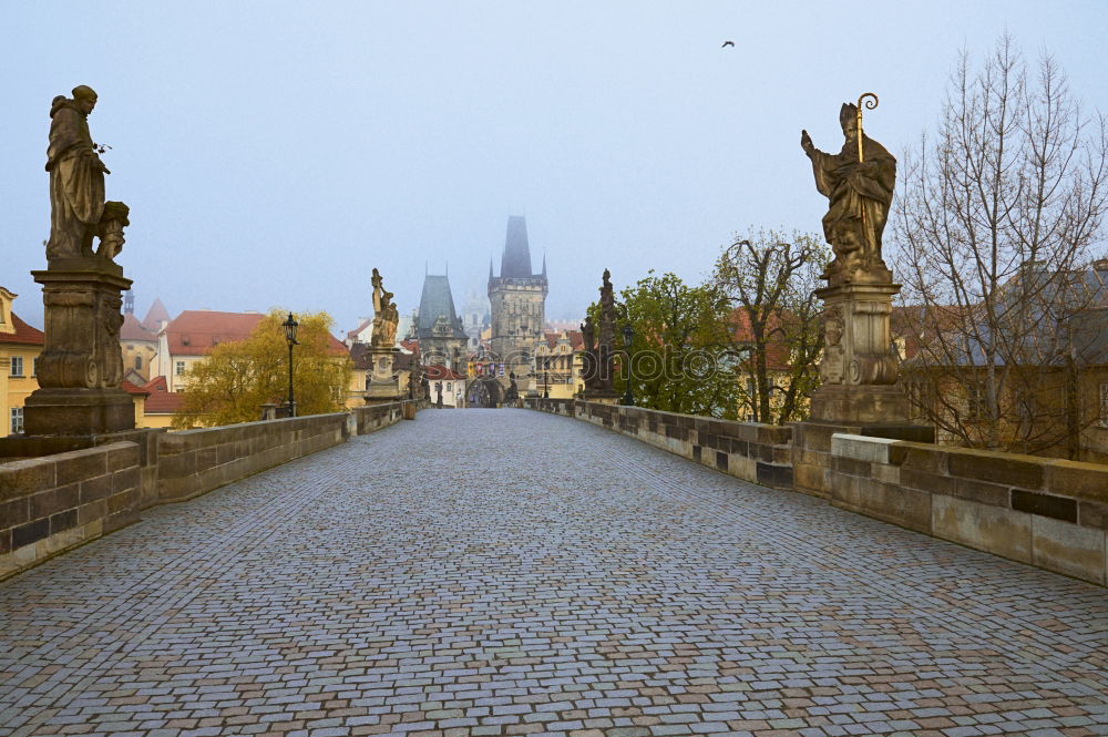 Similar – Image, Stock Photo #A# Dresden perspective