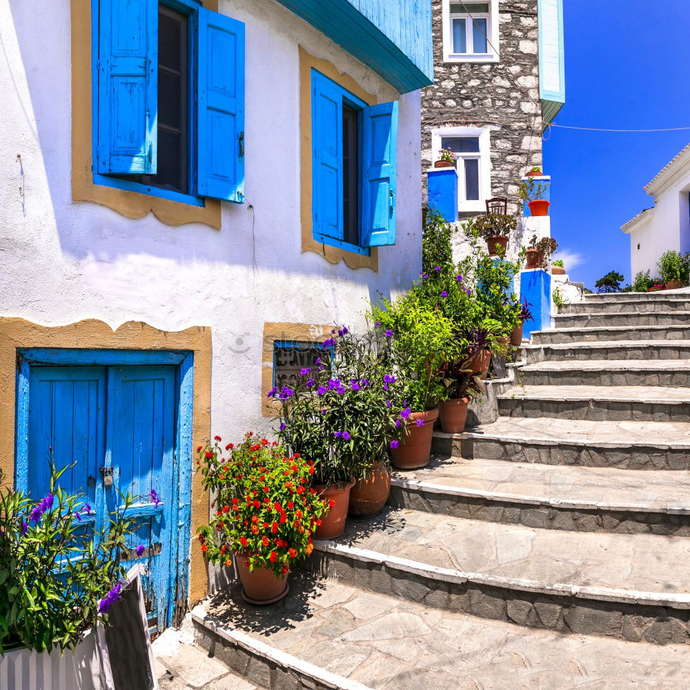 Similar – Blue street in Chefchaouen, Morocco