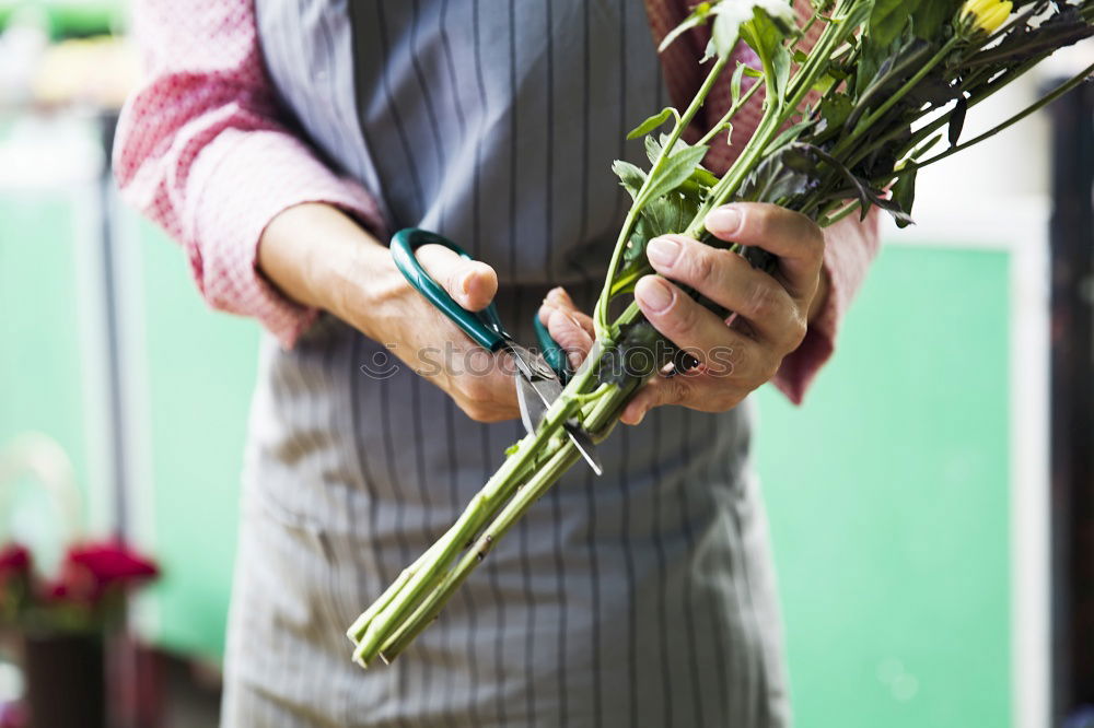 Similar – Image, Stock Photo Binding a bouquet of garden flowers