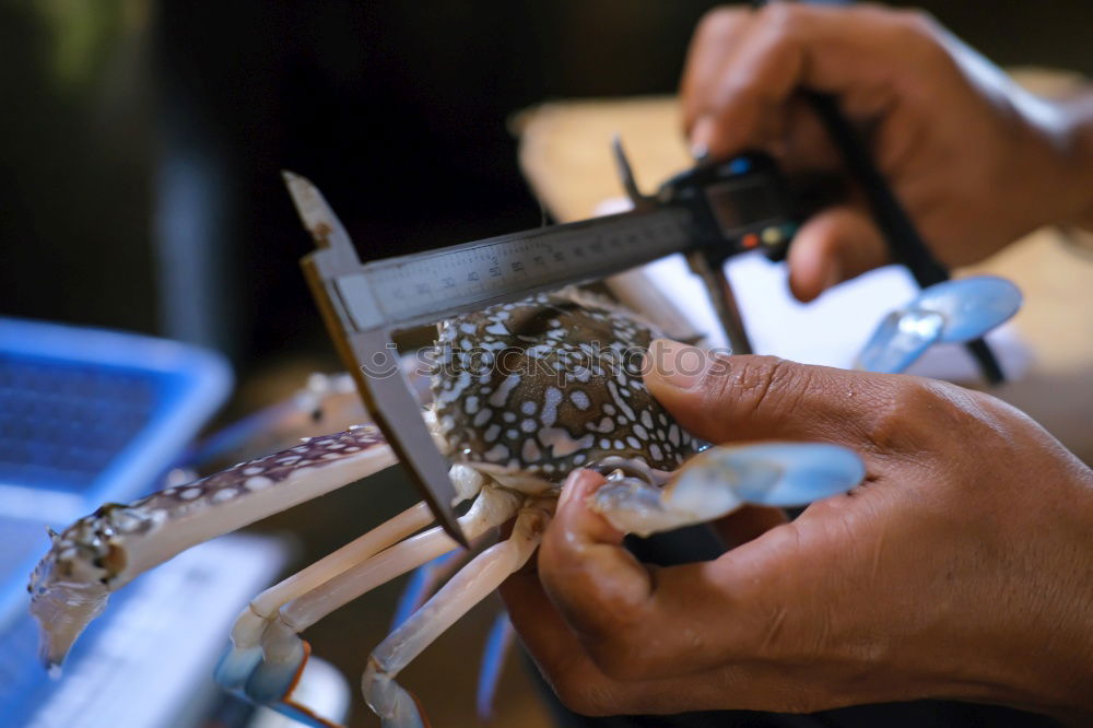 Similar – man’s hands goldsmith work on a piece of silver