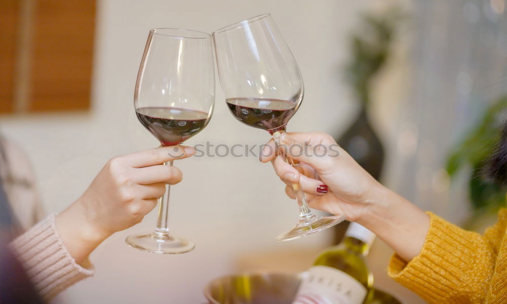 Similar – Foto Bild Schöne Frauenhände halten Gläser mit Champagner oder Rosenwein. Nahaufnahme. Frauen stoßen mit Gläsern an. Neujahrsfeier, Veranstaltung oder Party. Weichzeichner. Menschliche Hände. Vertikale Aufnahme