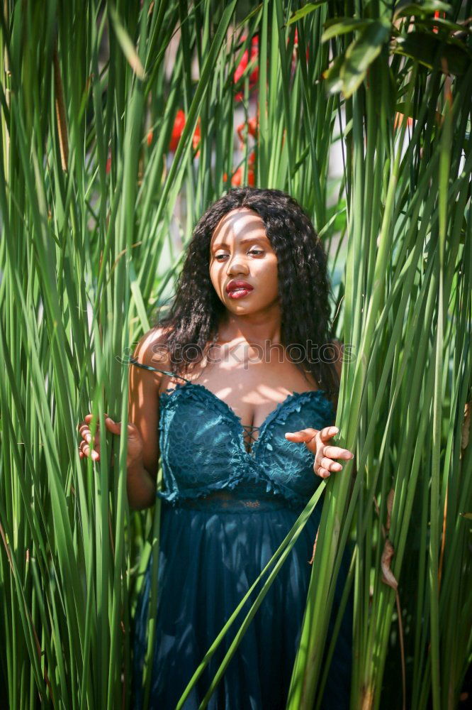 Similar – Image, Stock Photo Young woman in orange plantation