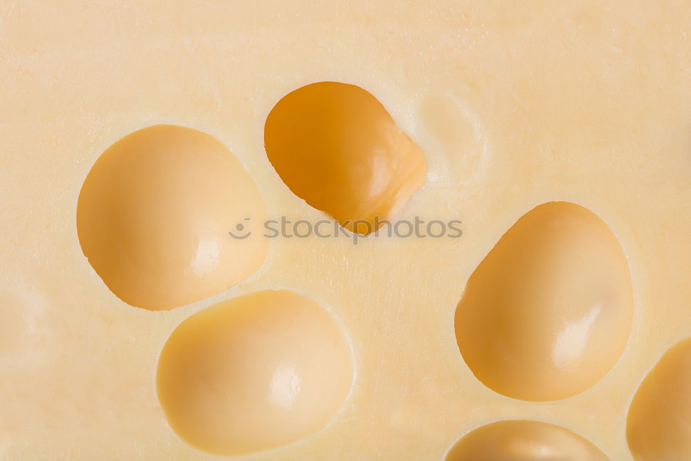 Similar – Egg, egg, egg