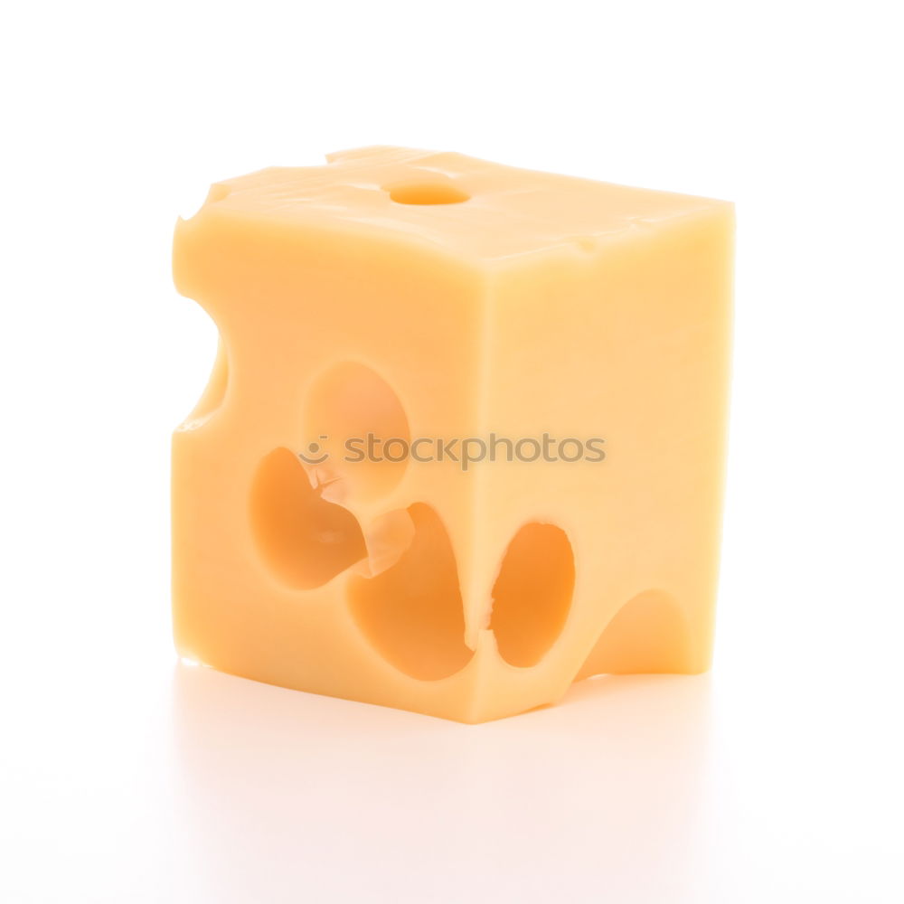 Similar – Image, Stock Photo petty thief Food Cheese