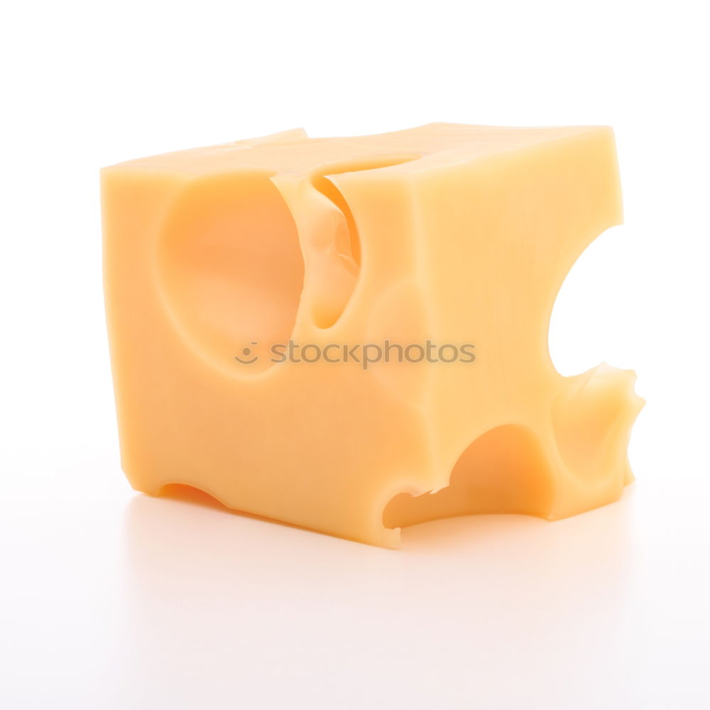 Similar – Image, Stock Photo petty thief Food Cheese