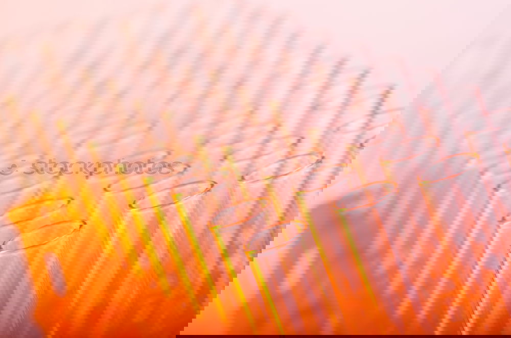 Similar – Image, Stock Photo eye of a needle