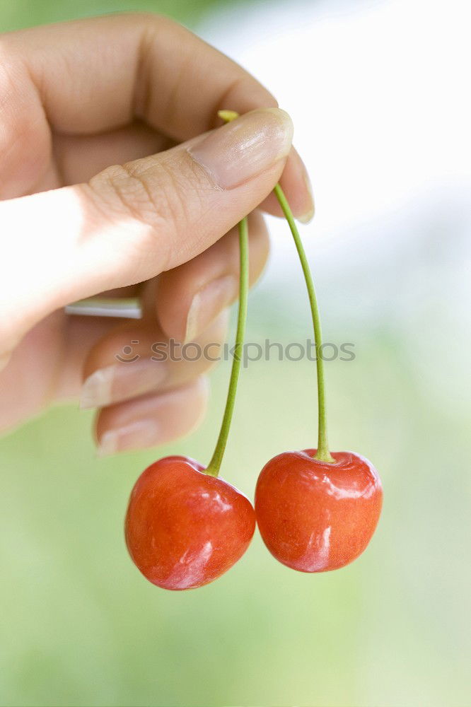 Similar – blackberry harvest Fruit