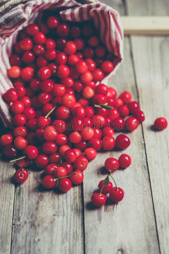 Similar – Cranberries in a bowl