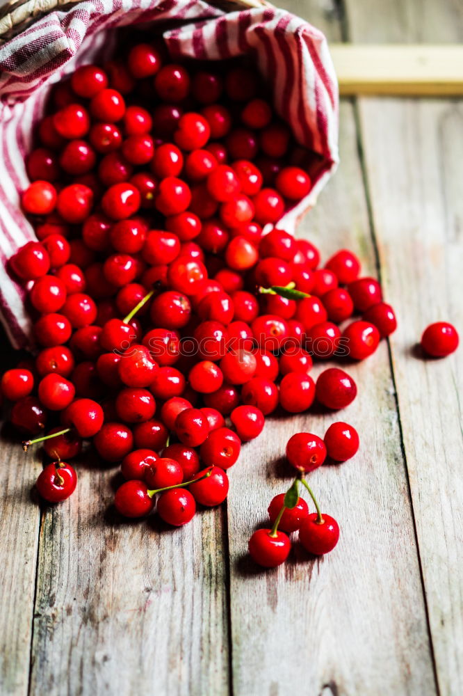 Similar – Cranberries in a bowl