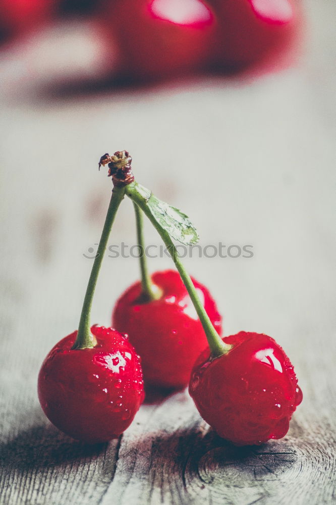 Similar – Image, Stock Photo Bowl with fresh red cherries
