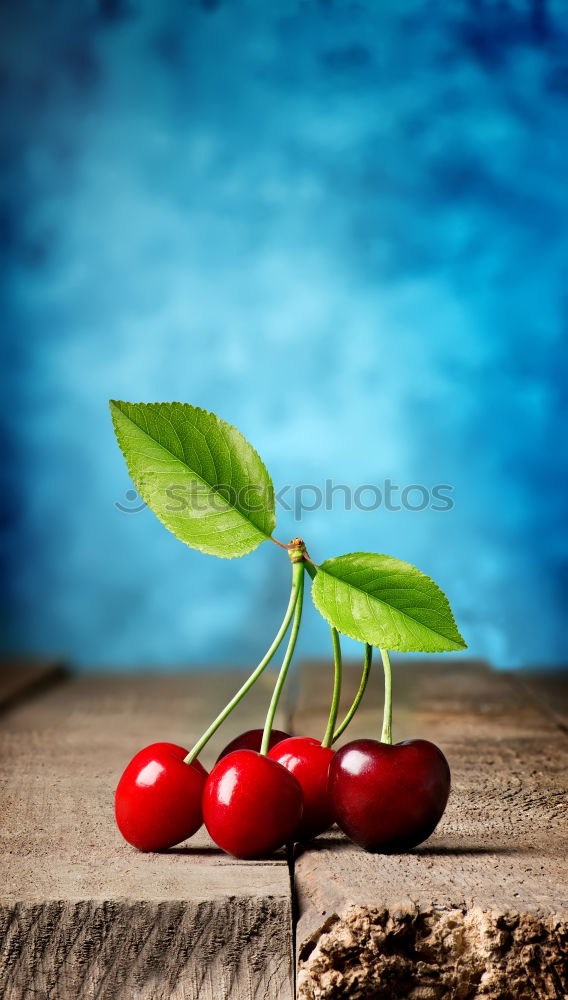 Similar – Image, Stock Photo urban gardening fresh bio radieschen