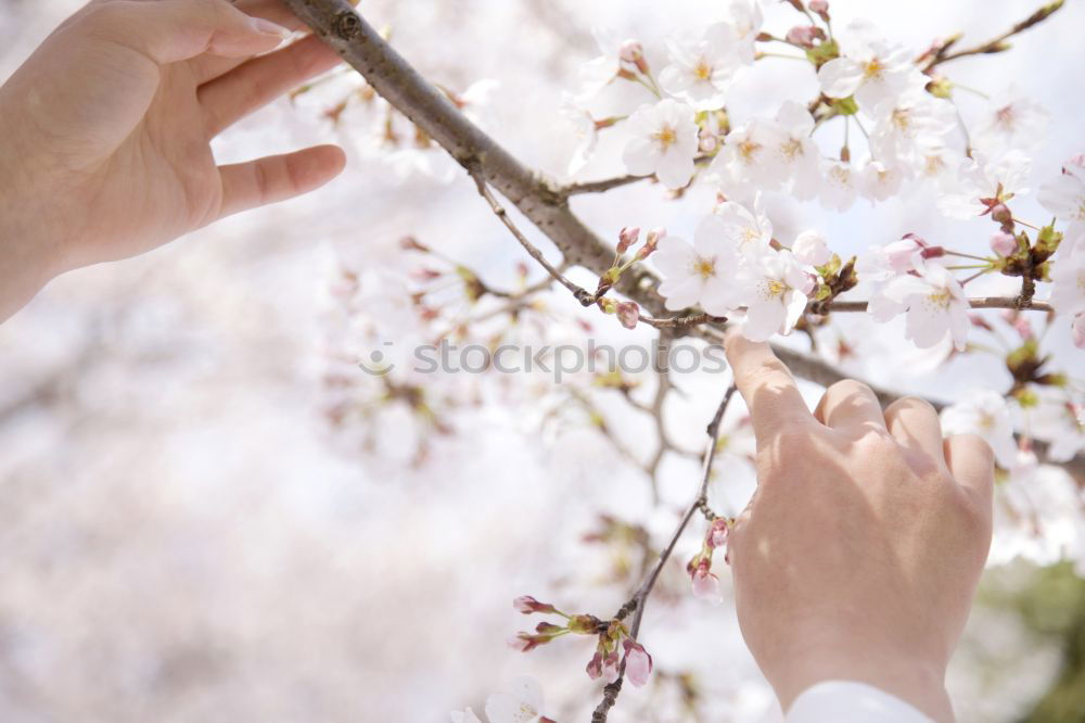 Similar – white & blue Human being