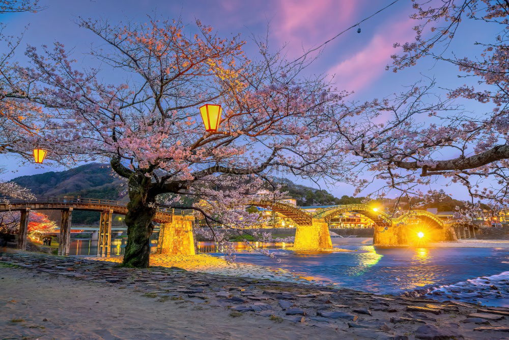 Similar – Alpine village under sun rays