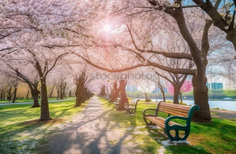 Similar – Image, Stock Photo Couples- everywhere Happy
