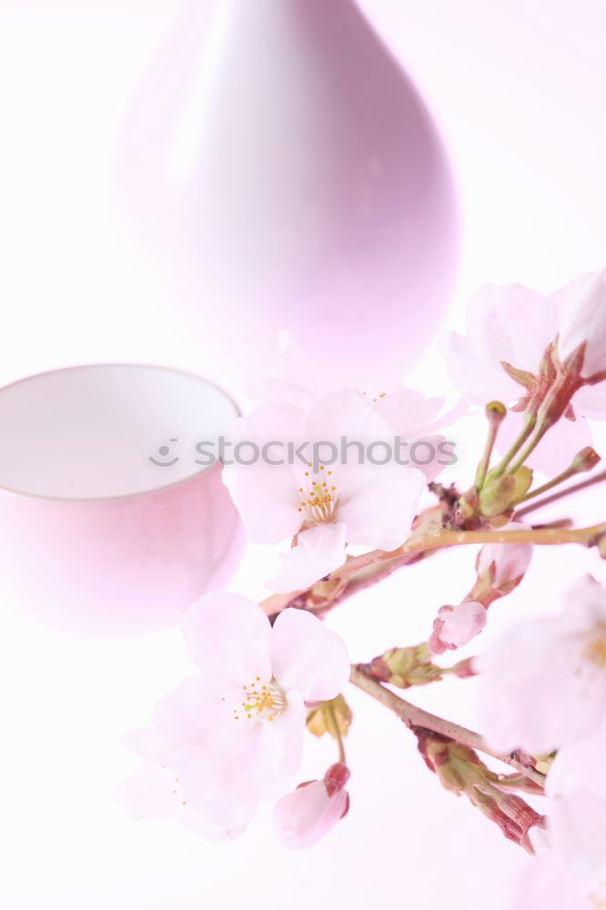 Similar – Image, Stock Photo Bottle with cosmetic lotion and flowers