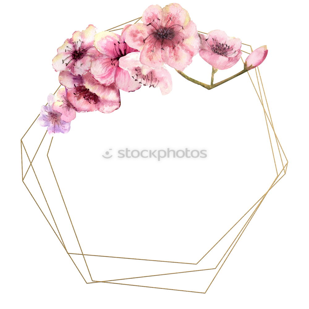 Similar – Image, Stock Photo Pink spring flowers frame on white