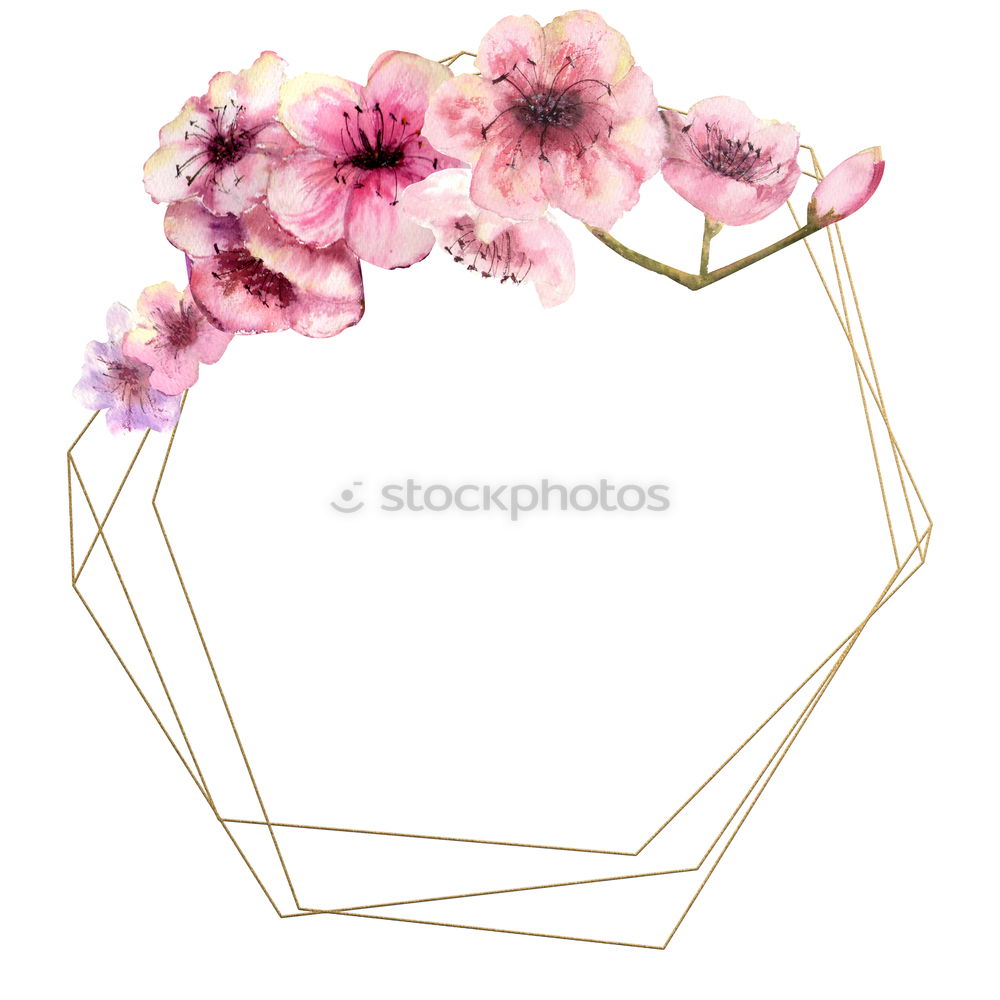 Similar – Image, Stock Photo Pink spring flowers frame on white