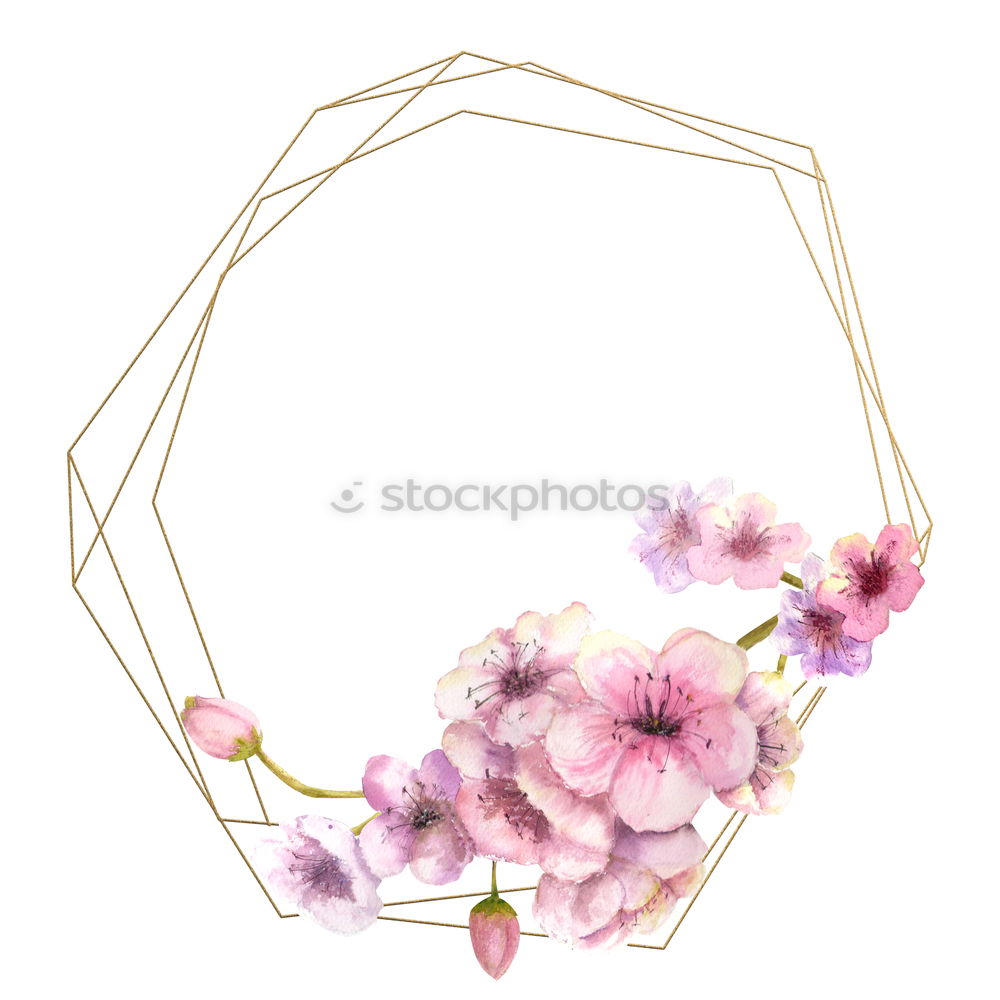 Similar – Image, Stock Photo Pink spring flowers frame on white