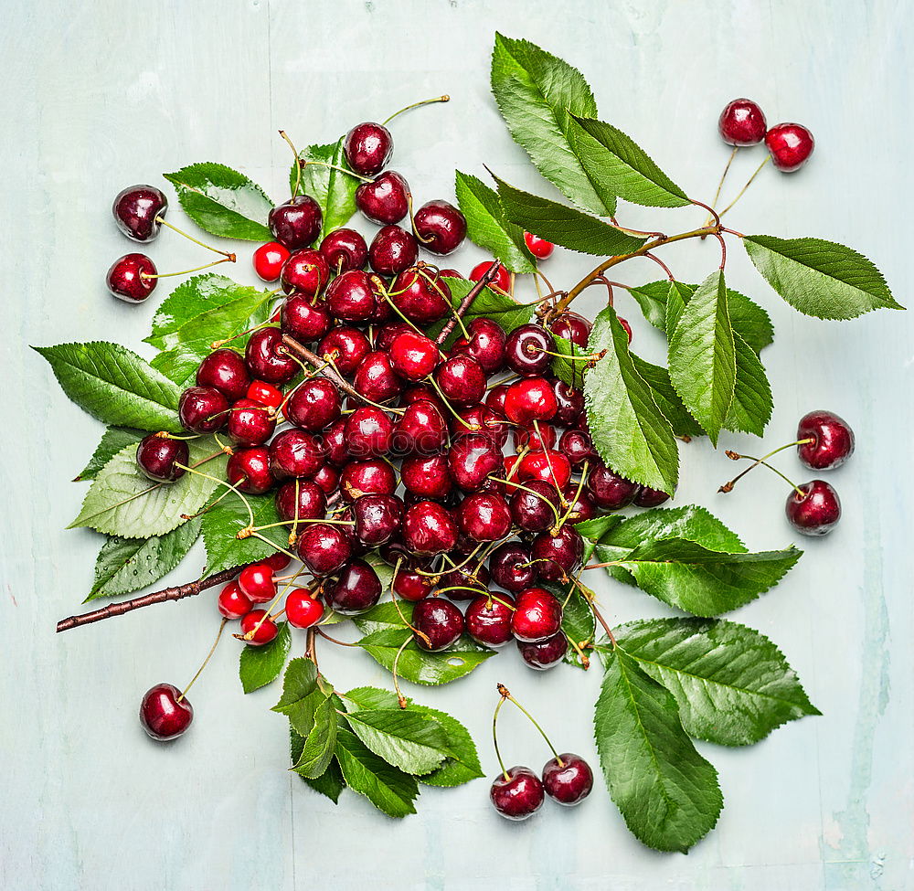 Similar – Image, Stock Photo Scattered cherries with green leaves