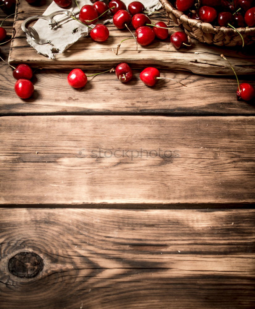 Similar – Weihnachtszweig mit roten Beeren