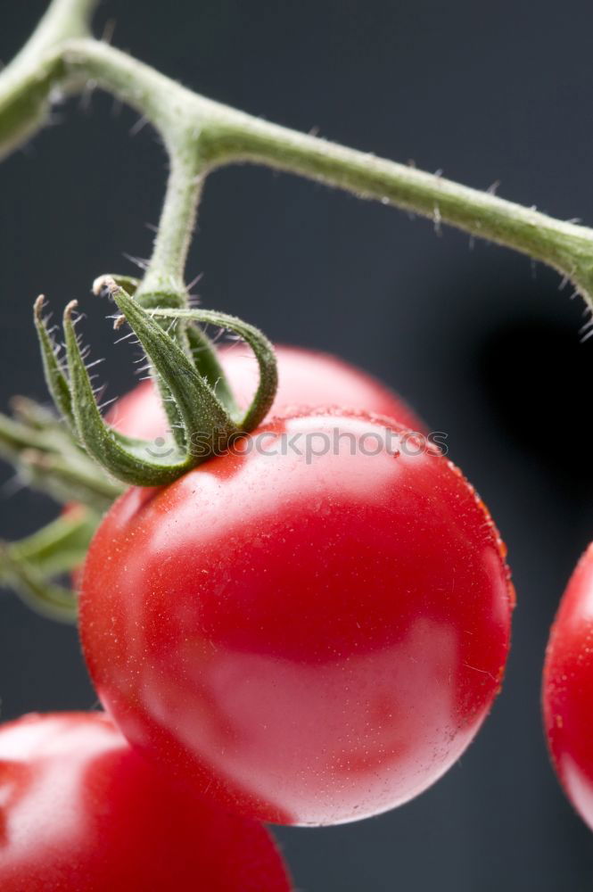 Similar – Image, Stock Photo Radish on dark background