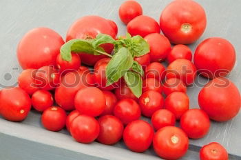 Similar – Image, Stock Photo Pasta Equipment Red