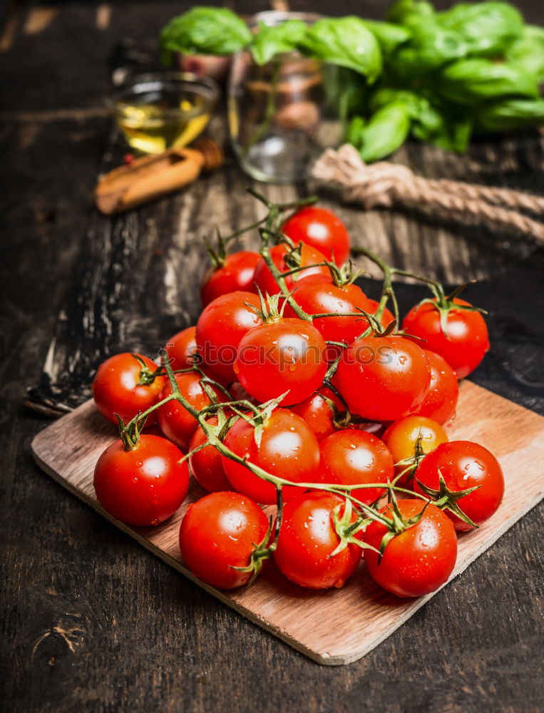 Similar – Image, Stock Photo Frisella, typical south italian bread
