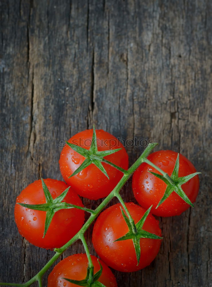 Similar – Image, Stock Photo Radish on dark background