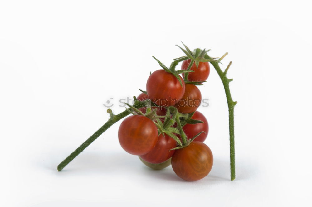 Similar – Fresh tomato Tomato