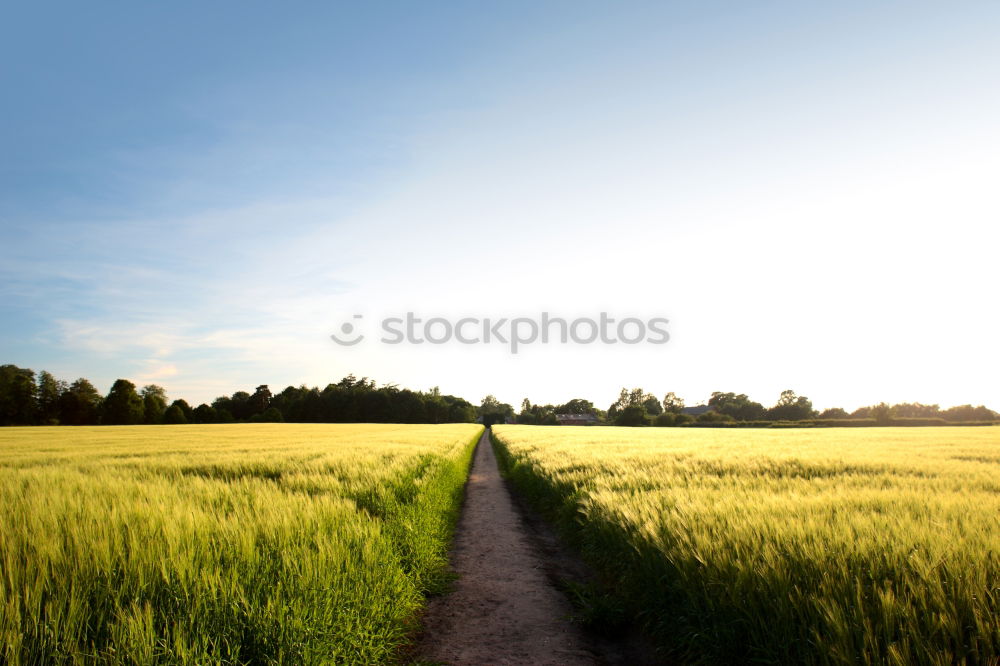 Similar – Image, Stock Photo It’s the most beautiful outdoors.