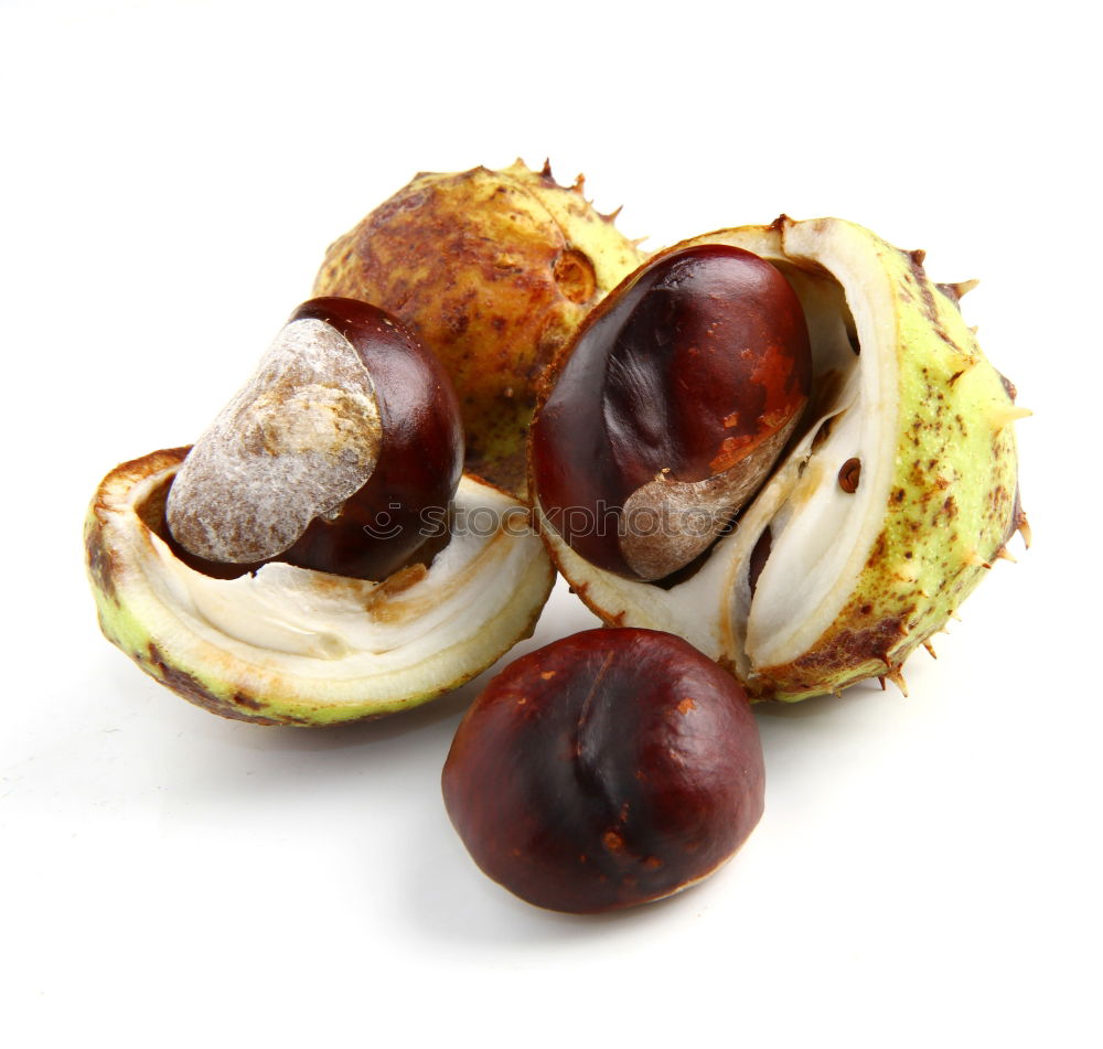 Similar – Horse chestnut in its shell