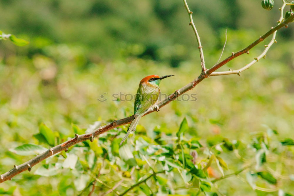 Similar – Image, Stock Photo Outing to the countryside on a warm October day