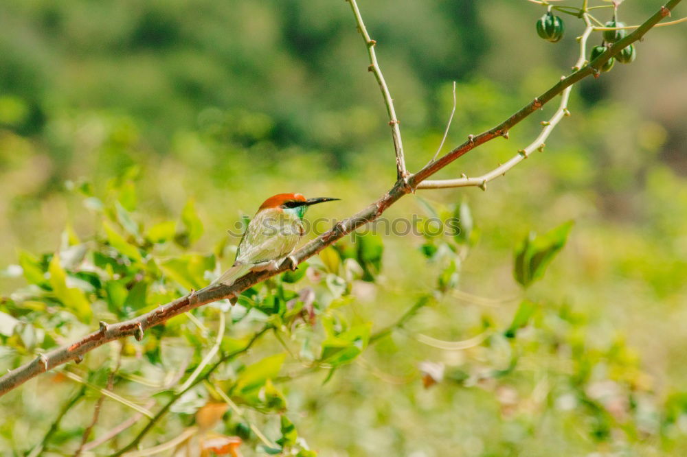 Similar – Image, Stock Photo Outing to the countryside on a warm October day