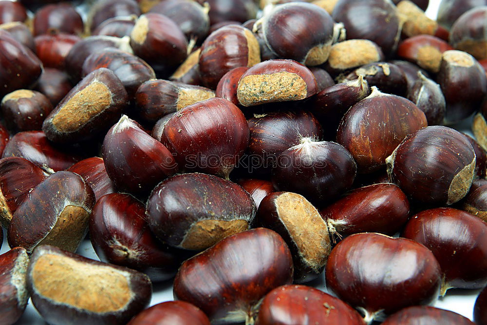 Similar – Image, Stock Photo chestnuts Chestnut tree