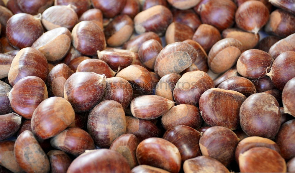 Similar – Mixed nuts in shells. Nut